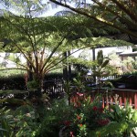 Budget accommodation in Margaret River 